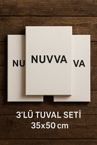 O&S Oyun ve Sanat Eğlen-Üret Tuval Seti 3 adet 35 x 50 tüval, tuval, resim re...