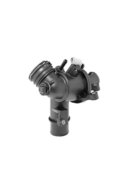 BorgWarner (Wahler) Termostat Lichid Racire Mercedes-Benz 5-Class/Sprinter 3,...