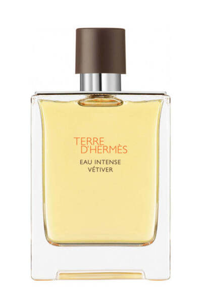 Hermes Terre D'Hermes Eau Intense Vetiver by Hermès 100 ml, Men's Perfume (sealed)