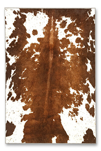 Rugs Modern Halı MOSSO Kahverengi Temalı Soyut Abstract Desenli Dokuma Taban ...