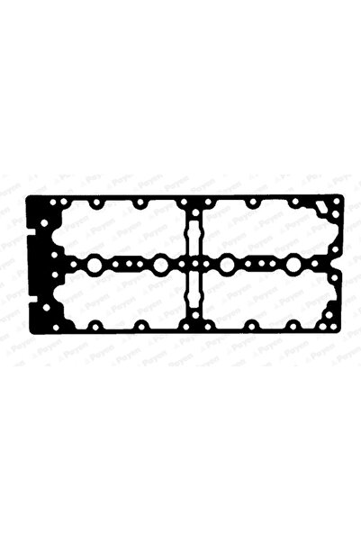 PAYEN Garnitura Capac Supape Fiat Ducato Bus/Ducato Caroserie/Ducato Platou