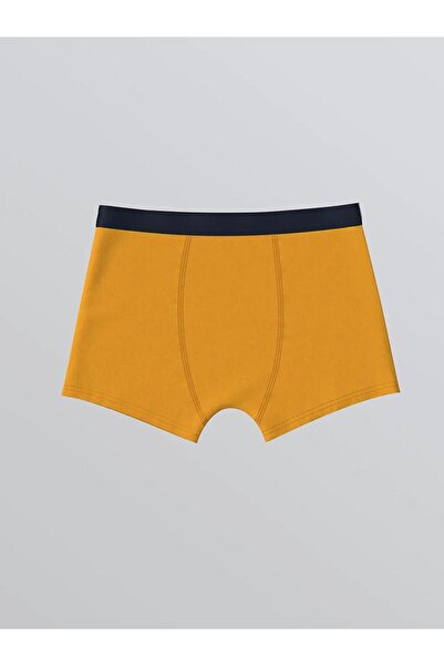 LC Waikiki Printed Boys' Boxer 3-Pack (W5)