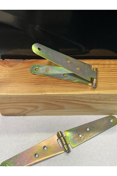 Ersa Çift Kuyruklu Menteşe – Dayanıklı Metal Kapı ve Dolap Menteşesi