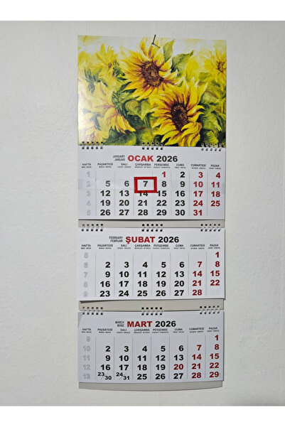 SOYLU 2026 Küçük Boy Gemici Duvar Takvimi Spiralli 27,5x65 cm