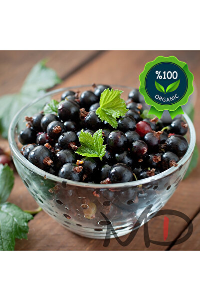 Magika Design Aronya Meyvesi, Yerli Üretim 100 GR - %100 Doğal, %100 Taze, %100 Organik