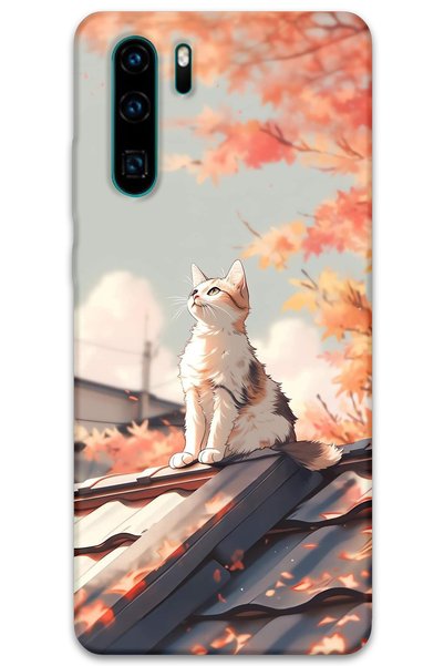 Gramaphone Huawei P30 Pro Compatible Cat Pattern Phone Case + Screen Protecto...