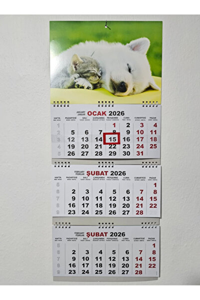 SOYLU 2026 Küçük Boy Gemici Duvar Takvimi Spiralli 27,5x65 cm