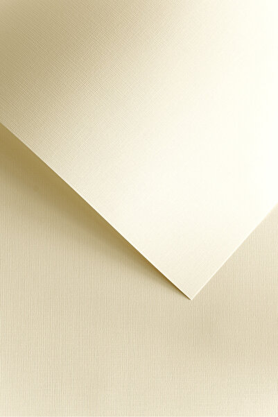 Other Decorative Paper Canvas /50pcs/ Galeria Papieru 120G 206102 CREAM