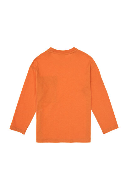U.S. Polo Assn. Boy's Copper Crew Neck Sweatshirt 50316417-Vr182