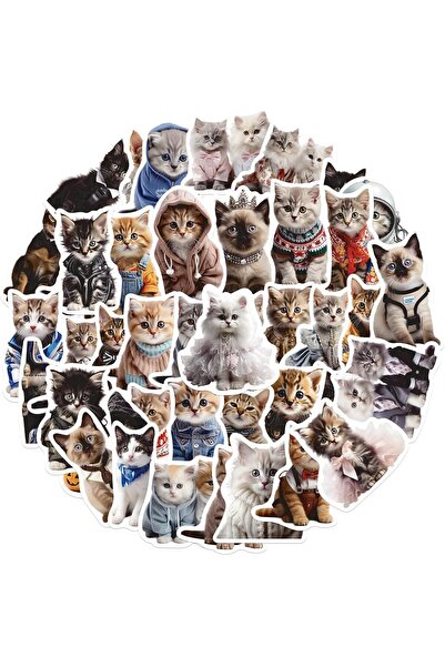 Other نالاكال - عبوة من 50 ملصق قطط فينيل لطيف مقاوم للماء للأطفال والمراهقين
