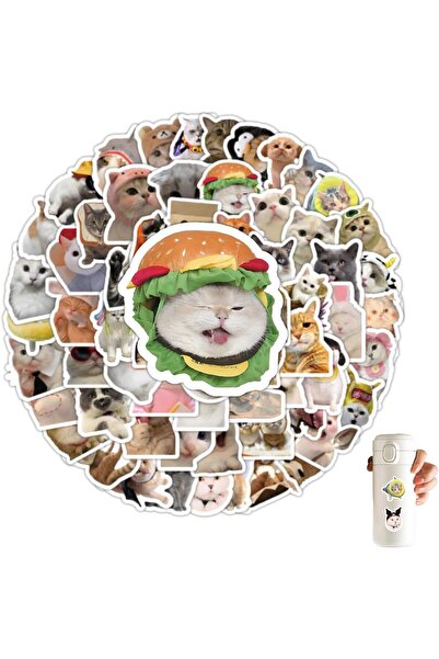 KASTWAVE ١٠٠ ملصق قطط كاواي مقاوم للماء لأجهزة الكمبيوتر المحمولة وزجاجات الم...