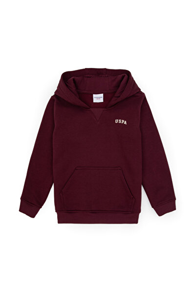 U.S. Polo Assn. Boy's Claret Red Basic Hooded Sweatshirt 50313808-Vr177