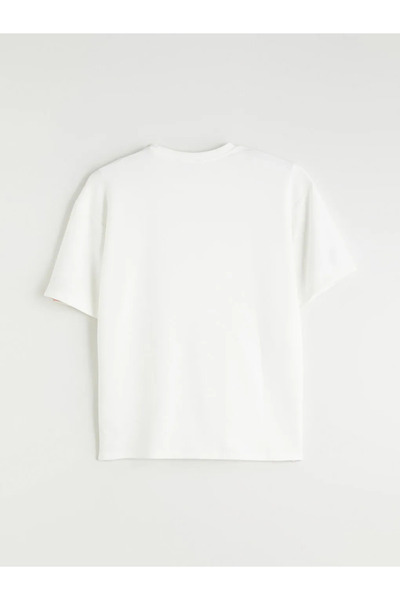 LC Waikiki Crew Neck Men's T-Shirt
