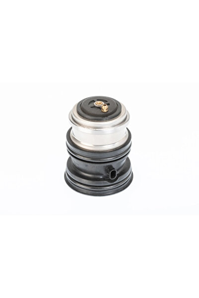 BorgWarner (Wahler) Termostat Lichid Racire Porsche Cayenne/Macan/Panamera