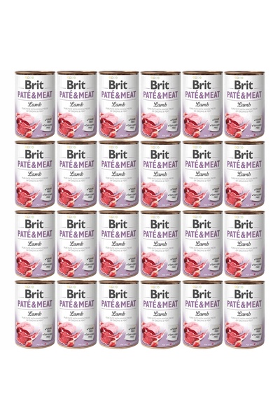 Other BRIT Paté & Meat Miel - hrană umedă pentru câini - 24x400g