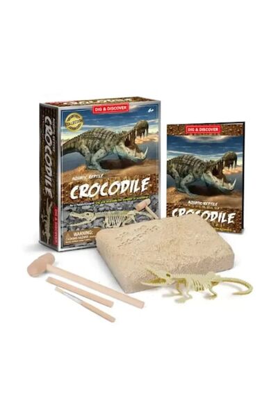 Granst Stag Set educațional - Excavație de pterozauri, schelet 15x10 cm, plas...