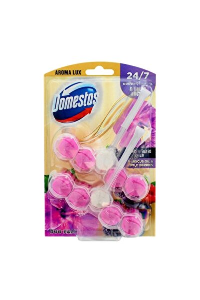 Domestos Hibiscus Oil & Wild Berries Toilet Air Freshener, Set of 2 (2x55g), Multicolor