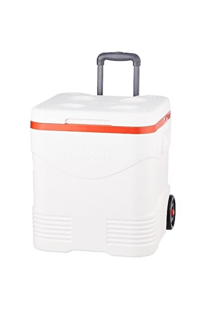 OEM Camping Cooler Box with Cup Holders, 45 L
