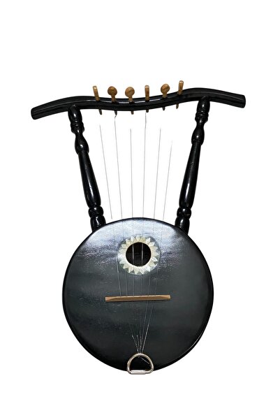 hoormusic Semsemiya musical instruments with bag and picks