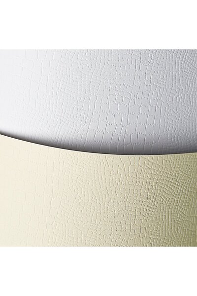 Other Hârtie decorativă Borneo /20 buc/ 220g Galeria Papieru 200202 CREM