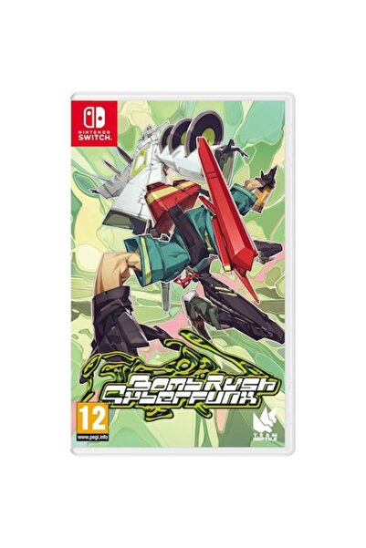 TEAM Bomb Rush Cyberfunk pentru NSW