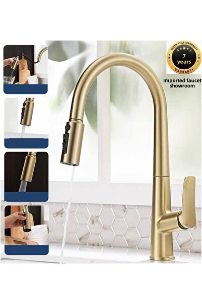 OEM Kitchen Sink Faucet with Water Purification Outlet, Matte Gold Spiral and Sprinkler Nozzle Purification, 7 Year Warranty, Imported