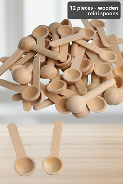 Dia 12 Pieces Bamboo Scale Spoons Mini Size Spice Food Spoons 7 cm Set of 12 Spoons