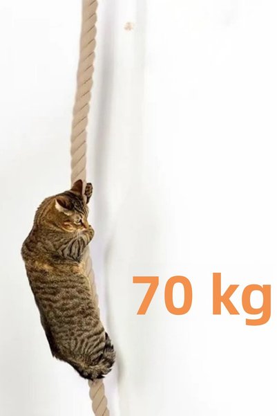 Alyones Tribe Wall Mounted Cat Climbing Net & Scratching Post – with Ladder Platform