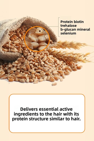 DR BANGGIWON Premium German Beer Yeast Shampoo Germany Beer Yeast Shampoo 500 ml