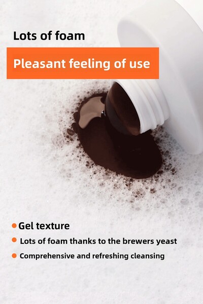 DR BANGGIWON Premium German Beer Yeast Shampoo Germany Beer Yeast Shampoo 500 ml