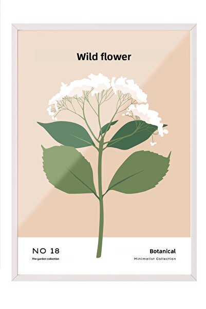 Zestia Tablou înrămat alb, Fleur Sauvage - Floare albă, Poster decorativ pent...