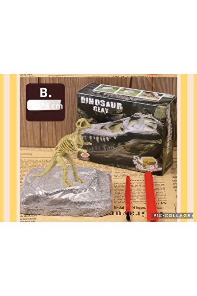 AZİZ OYUNCAK Tyrannosaurus Trex Species Skeleton Fossil Dinosaur Excavation Kit Activity Activity Activity Project Workshop 8X9Cm
