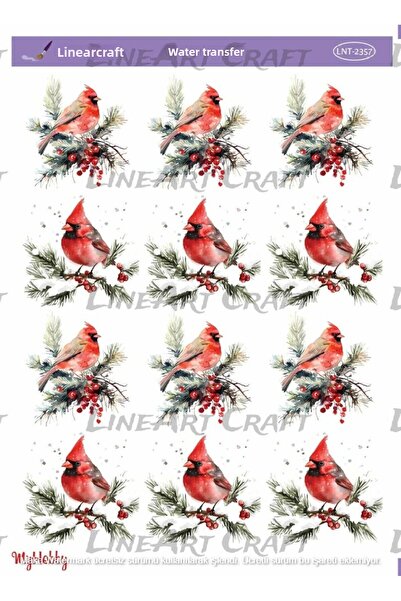 LİNEART St2357 New Year Series, Red Geranium Pattern Open Ground Water Transf...