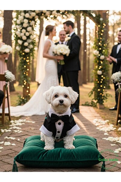 Gobo Black Bow Tie Tuxedo Groomsuit Cat and Dog Dress Gown Suit Xxlarge/Xxl/Size 5