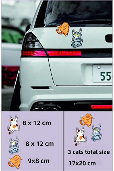 Özkaş ticaret ملصق ثلاثي الأبعاد مكون من 3 قطع ملصق سيارة للقطط، دراجة نارية،...