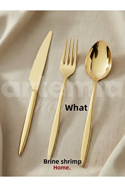 DMR LİFE Gold Dine 36 Piece 6-Person Cutlery Set. (Titanium Gold)