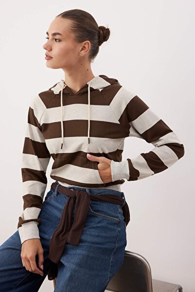 Trendyol Collection Multi-Colored Striped Fitted/Fitted Hooded Knitted Sweatshirt Twoaw26Sw00225