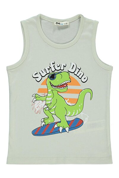 Civil Boys Surfer Dino Printed 2-5 Years Old T-Shirt - Grey 3-4 Years