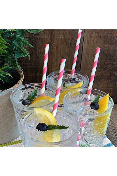 4basix Biodegradable Paper Straws (100 Pack) Pink - Eco-Friendly Disposable Straws