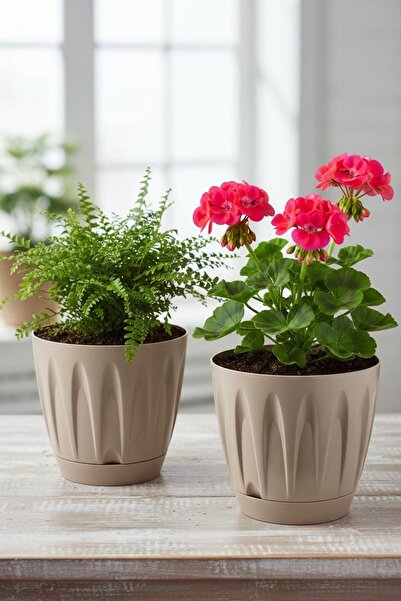 Bliss 2 Adet Papatya Saksı 3 lt Parlak Plastik Kendinden Tabaklı Drenajlı Çiçek Saksısı Seti