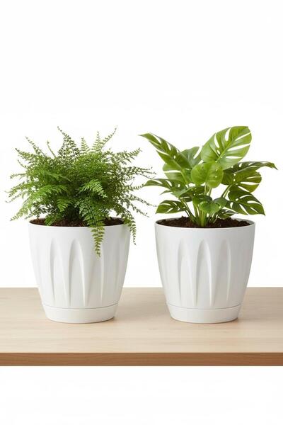 Bliss 2 Adet Papatya Saksı 3 lt Parlak Plastik Kendinden Tabaklı Drenajlı Çiçek Saksısı Seti