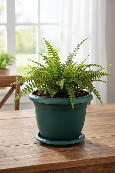 Bliss Yeşil Dekoratif Tabaklı Orta Boy Villa Saksı 5 Lt