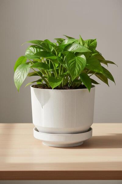 Bliss 6 Litre Gri Dekoratif Lüks Saksı Iç Dış Mekan Tabaklı Plastik Çiçek Saksısı