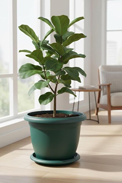 Bliss Yeşil Dekoratif Tabaklı Orta Boy Villa Saksı 14 Lt