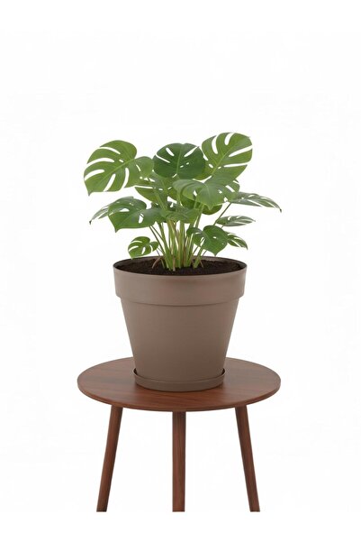 Bliss 6 Lt Mocha Renk Tabaklı Izgaralı Dekoratif Plastik Yalı Saksı