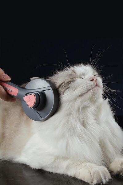 Trendpoint Turquoise Cat Dog Comb Hair Collector