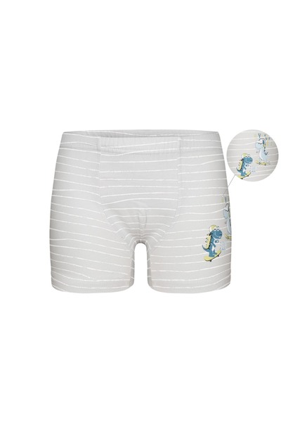 Donella 5-Pack Boys' Boxers 7581B4