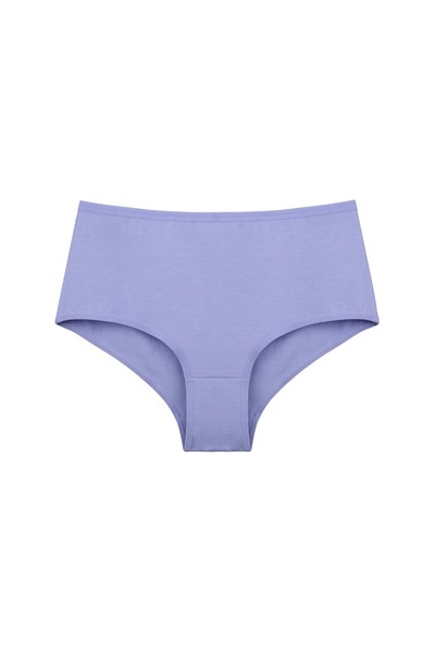 Donella 5'li Yüksek Bel Kadın Külot 068105