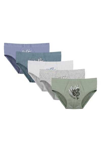 Donella 5'li Erkek Çocuk Külot 7611Y1