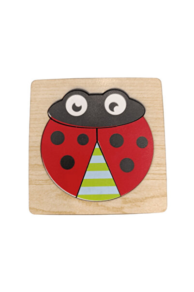 robokids Ahşap Eğitici 1 Bul-tak Puzzle (Kelebek, Ayı,Arı,Ugur Böcegi,Araba)set